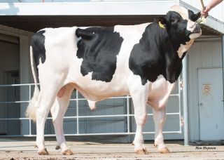 WOODCREST KING 𝐃𝐎𝐂 (v ČR i jako NXB-451) "milionářem"...🤩 V časech masivního, ale většinou krátkodobého používání...