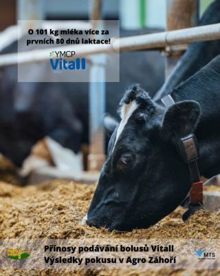 Nový článek: Přínosy podávání bolusů Vitall - Výsledky pokusu v Agro Záhoří 🎓 👉 Pokus na 80 kravách (11/2023–3/2024)...