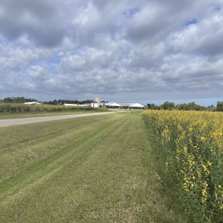 ☀Florida ☀ Spousta američanů se sem díky příznivému klimatu stěhuje na důchod. No, my si budeme muset ještě počkat - naše...