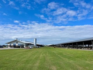S Floridou jsme se rozloučili návštěvou Larson Dairy v oblasti jezera Okeechobee, která je jedním ze dvou hlavních klastrů...
