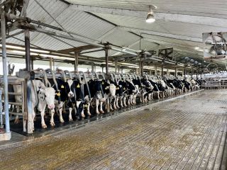 Pokračujeme v našem podzimním tripu jižních států USA 🇺🇸. Po návštěvě univerzitního stáda poblíž Gainesville jsme se...